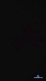 Piper_BLK3x cam4 livecam show performer room profile