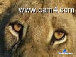 blitzshow01 cam4 live cam performer profile