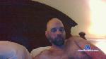 random333333 cam4 livecam show performer room profile