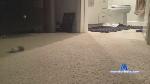 slideinyou2 cam4 livecam show performer room profile