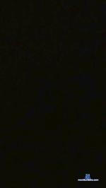 Sifredo2001 cam4 livecam show performer room profile