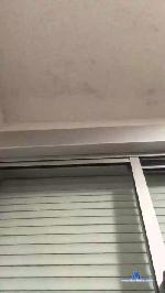 max829 cam4 livecam show performer room profile