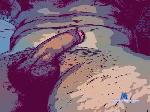 leotrescokinn cam4 livecam show performer room profile