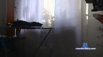 baerenschwanz cam4 livecam show performer room profile