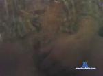 ludovic2054 cam4 livecam show performer room profile