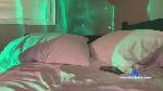 Sativenina cam4 livecam show performer room profile