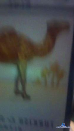 Jadon2u cam4 live cam performer profile