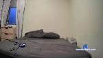 Berenjena9 cam4 livecam show performer room profile
