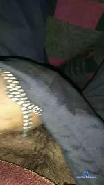 kabir54 cam4 livecam show performer room profile