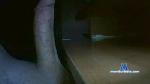voycakk cam4 livecam show performer room profile