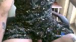 lisa1952 cam4 livecam show performer room profile