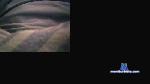 keinraucher cam4 livecam show performer room profile