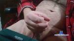 Ilpos cam4 livecam show performer room profile