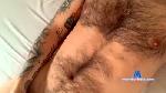 impius2011 cam4 livecam show performer room profile