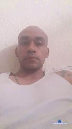 browndick878 cam4 livecam show performer room profile