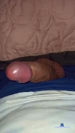 Megagros40 cam4 livecam show performer room profile