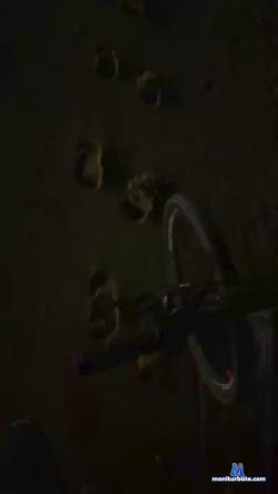 Rogerneto2 cam4 live cam performer profile