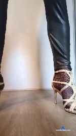 Kayden999 cam4 livecam show performer room profile