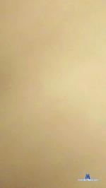 YuriNeko cam4 livecam show performer room profile