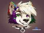 futalover1703 cam4 livecam show performer room profile