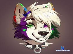 futalover1703 cam4 live cam performer profile