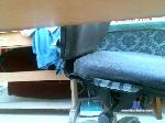 skatte4basse cam4 livecam show performer room profile