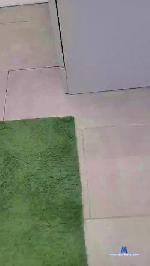 SpicyCreamer cam4 livecam show performer room profile