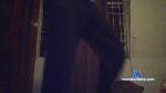 majito3222 cam4 livecam show performer room profile