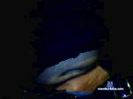 maialepuro cam4 livecam show performer room profile