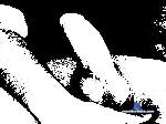 locuraplatense cam4 livecam show performer room profile