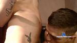 Storm_Crow cam4 livecam show performer room profile