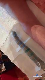 Soumi4805 cam4 livecam show performer room profile