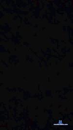 Misstress8589 cam4 livecam show performer room profile