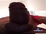 marceldh cam4 livecam show performer room profile