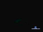budgsmug67 cam4 livecam show performer room profile