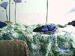Nanyhot30 cam4 livecam show performer room profile