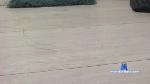 Wetdream221 cam4 livecam show performer room profile