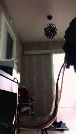 Jopito74 cam4 livecam show performer room profile