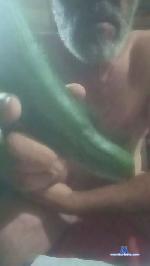 pinguino45 cam4 livecam show performer room profile