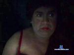 tvdasy cam4 livecam show performer room profile