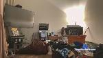 1eyed cam4 livecam show performer room profile