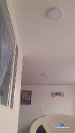 Mio0310 cam4 livecam show performer room profile