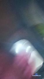 sexi288 cam4 livecam show performer room profile