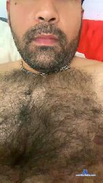 Brigmetolife cam4 livecam show performer room profile