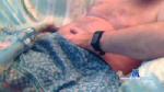 fvg67 cam4 livecam show performer room profile