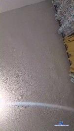 phael_sexy cam4 livecam show performer room profile