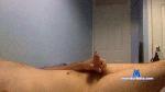 bigdick1637 cam4 livecam show performer room profile