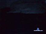 stuart0 cam4 livecam show performer room profile