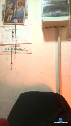 napolillo88 cam4 live cam performer profile
