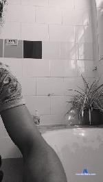voladiwis cam4 livecam show performer room profile